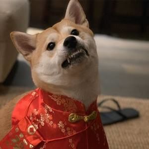 Meet your Posher, Joyce